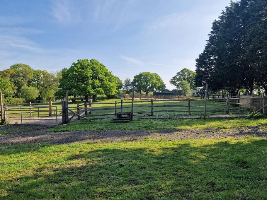 Country Retreat Near Sea And South Downs, On National Cycle Network Appartement Polegate Buitenkant foto