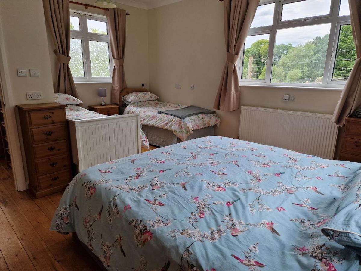 Country Retreat Near Sea And South Downs, On National Cycle Network Appartement Polegate Buitenkant foto